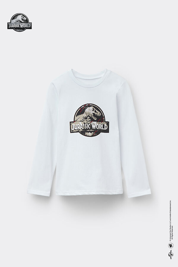 Pull Manches Longues Col Rond Jurassic World  