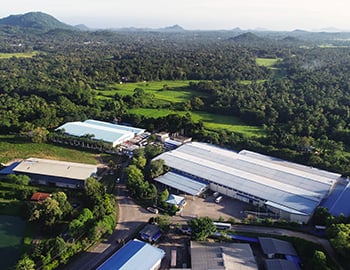 calzedonia group traceability