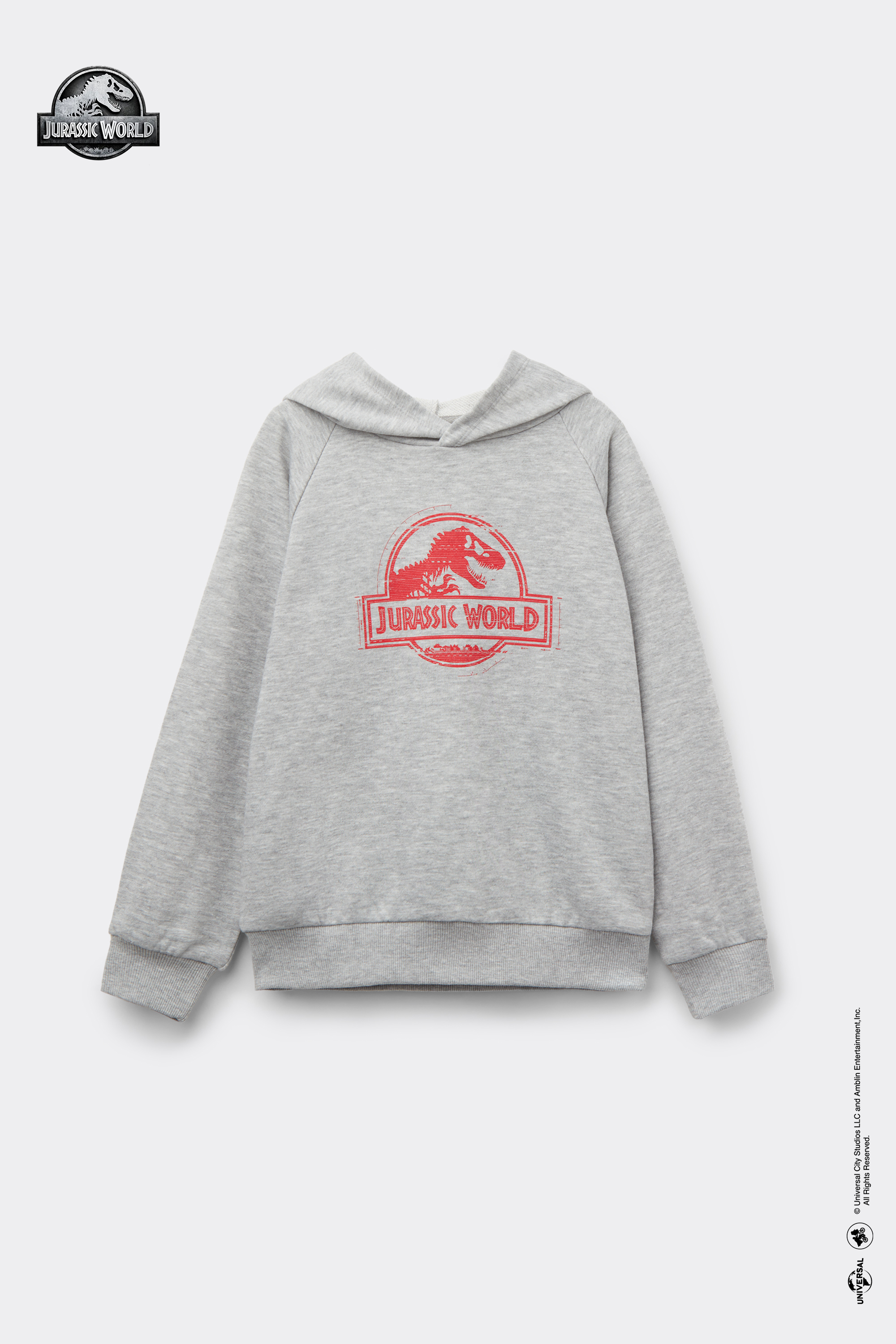 Худі з Довгими Рукавами Jurassic World