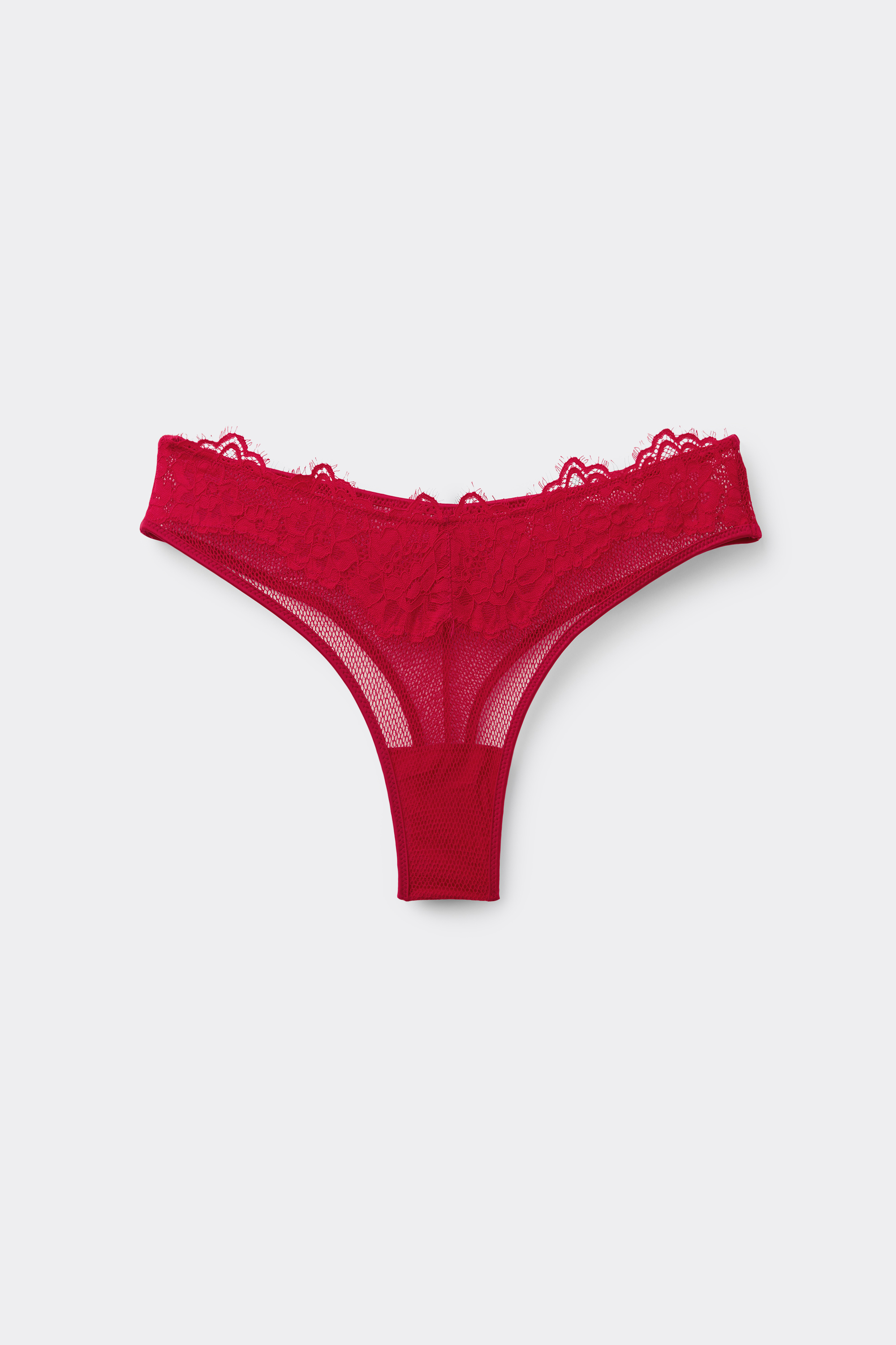 Delicate Net Micro-Mesh and Lace Brazilian Panties